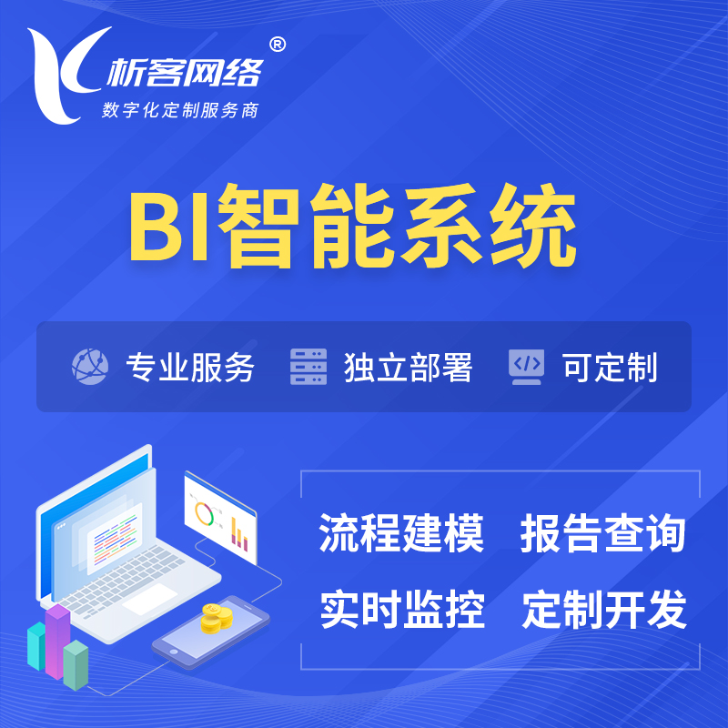 连云港BI智能系统 | BI数据可视化